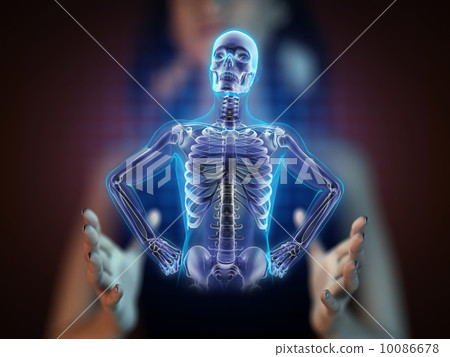 human radiography scan on hologram human radiography scan on hologram 10086678