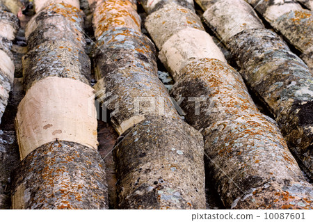 Detail of an old tile roof Detail of an old tile roof 10087601