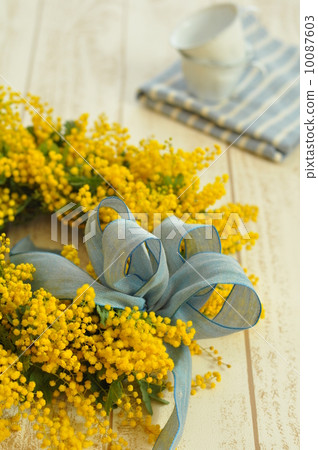 Mimosa lease 10087603