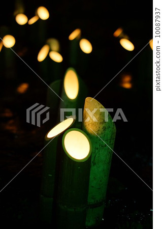 Higashiyama flower light road Higashiyama flower light road 10087937