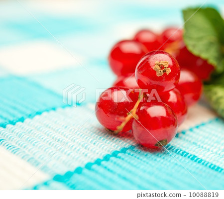 Fresh red currant berries on tablecloth Fresh red currant berries on tablecloth 10088819