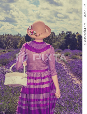 Woman in purple dress and hat with basket in lavender field 10088906