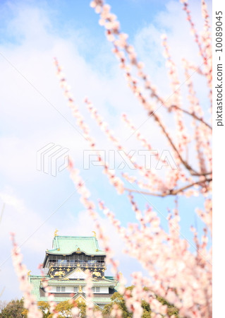 March Osaka Osaka Castle · Tenso and Bairin March Osaka Osaka Castle · Tenso and Bairin 10089045