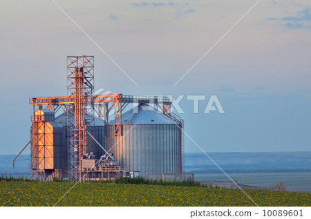 grain silo 10089601