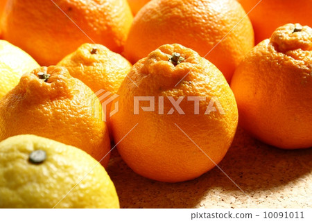 橘子 橘子 10091011