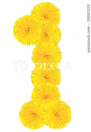 Number 1 made from dandelion flower Number 1 made from dandelion flower 10091028