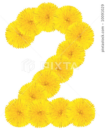 Number 2 made from dandelion flower 10091029