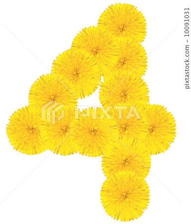 Number 4 made from dandelion flower 10091031