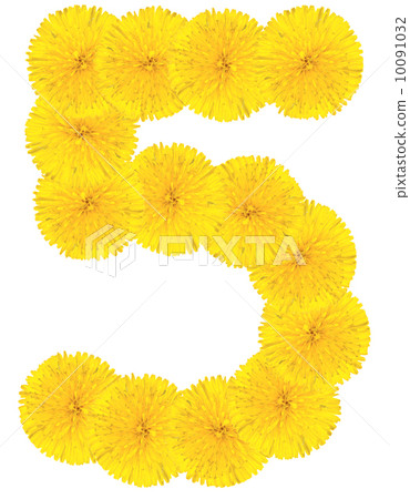 Number 5 made from dandelion flower Number 5 made from dandelion flower 10091032