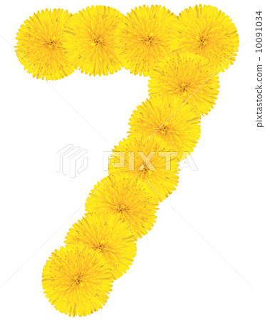 Number 7 made from dandelion flower 10091034