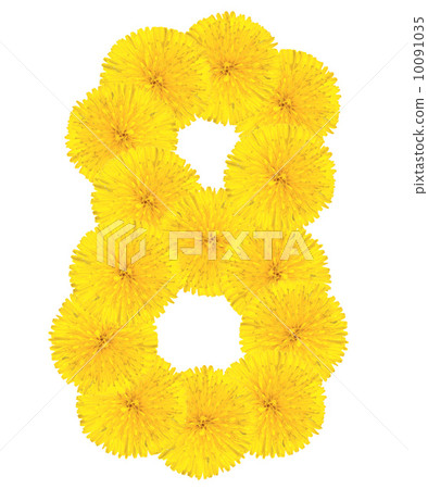 Number 8 made from dandelion flower Number 8 made from dandelion flower 10091035