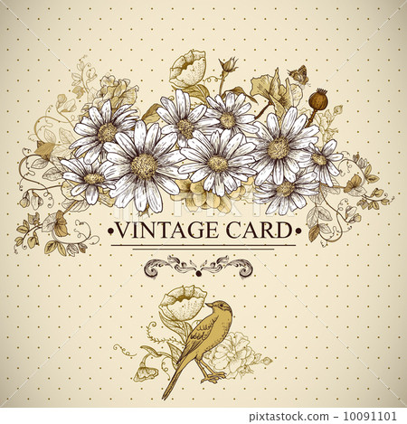 Vintage Floral Card with Birds and Daisies - Stock Illustration ...