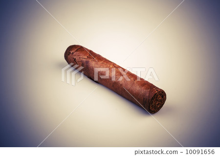 Expensive hand-rolled cigar on a while background 10091656