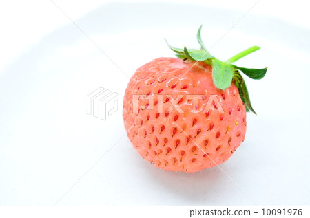 Momo Kaoru♪ Momo Kaoru♪ 10091976