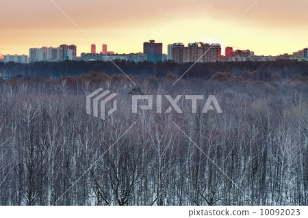 Early yellow dawn over snowy city park 10092023
