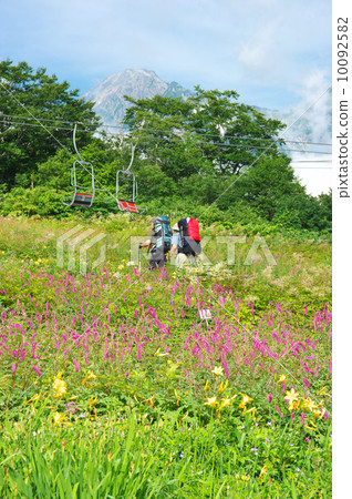 白馬五龍高山植物園 10092582