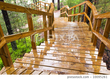 Wet wooden stairway in the forest. Imatra town, Finland 10095261