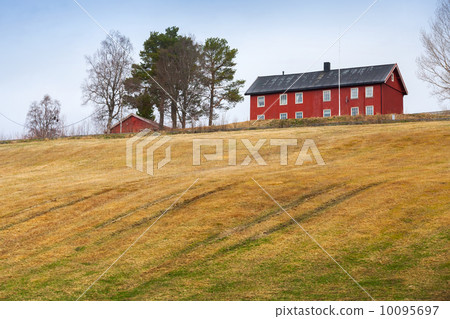 Spring rural Norwegian landscape with red house and field 10095697