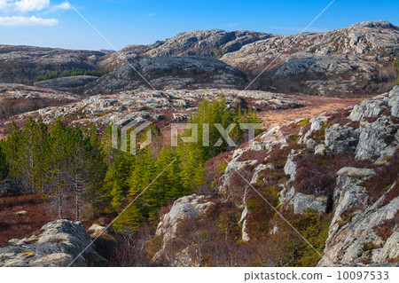 Norwegian mountains, landscape with green trees on rocks 10097533