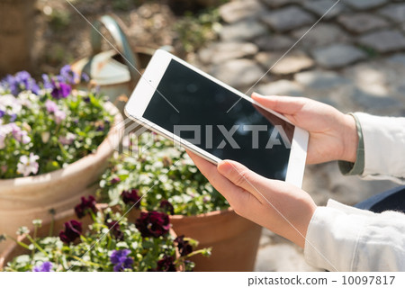 Tablet in the garden Tablet in the garden 10097817
