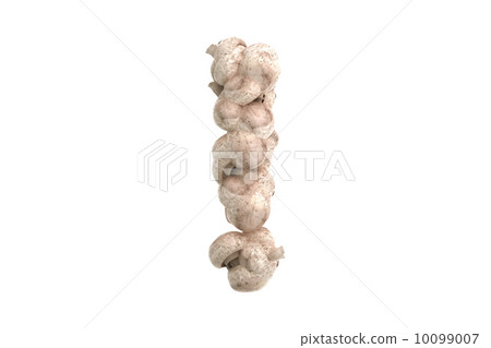 Mushroom symbol ! on white background 10099007