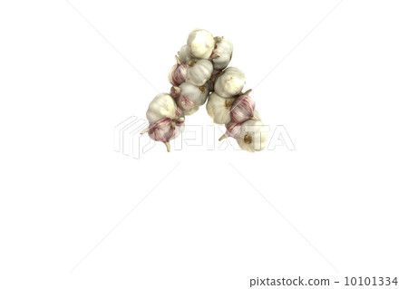 Garlic symbol ^ on white background Garlic symbol ^ on white background 10101334