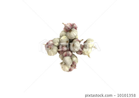 Garlic symbol   on white background 10101358