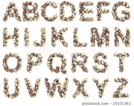 Garlic alphabet on white background - Stock Illustration [10101361] - PIXTA