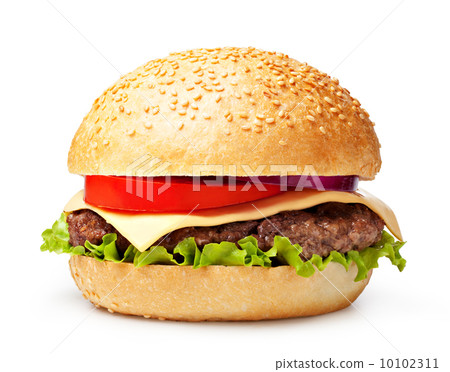 hamburger hamburger 10102311