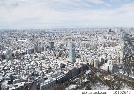 第二天大雪覆蓋的東京街道（記錄材料照片） 10102643