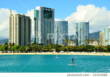 Holidays in Hawaii 10103986