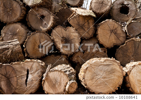 Firewood 10108641