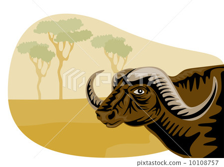 African Buffalo Retro 10108757