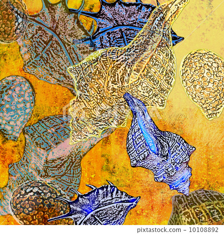 background shells background shells 10108892