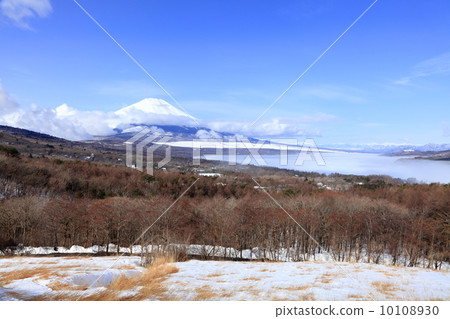 Fuji and Yamanakako Fuji and Yamanakako 10108930