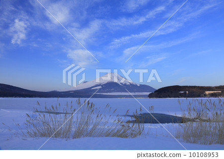 山中湖和雪富士 10108953