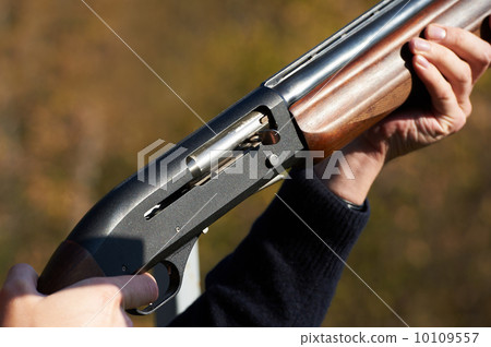 Gun in the hands 10109557