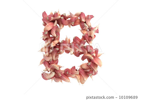 Garlic letter B on white background 10109689