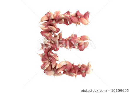 Garlic letter E on white background 10109695
