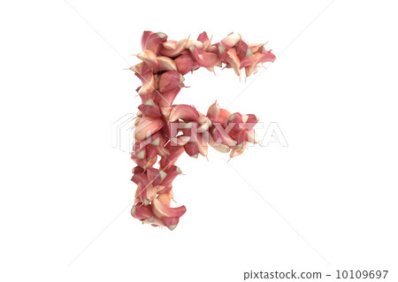 Garlic letter F on white background 10109697