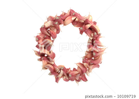 Garlic letter O on white background 10109719