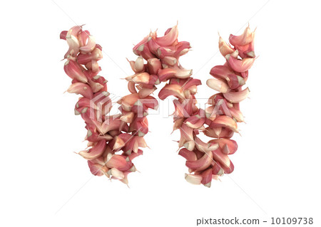 Garlic letter W on white background 10109738