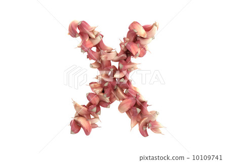 Garlic letter X on white background 10109741
