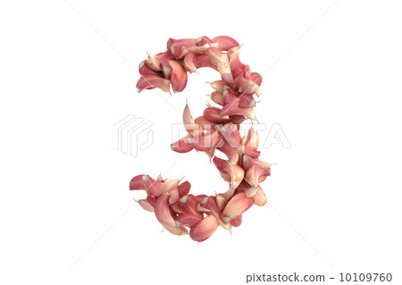 Garlic symbol 3 on white background 10109760