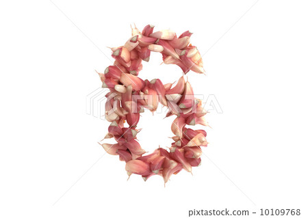 Garlic symbol 6 on white background 10109768