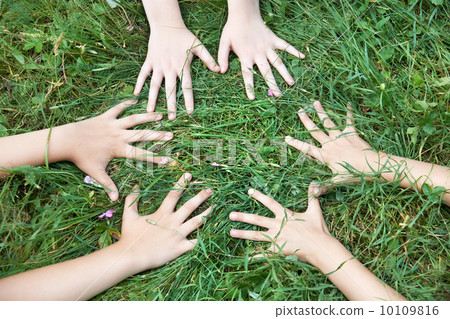 Children's hands around on the grass Children's hands around on the grass 10109816