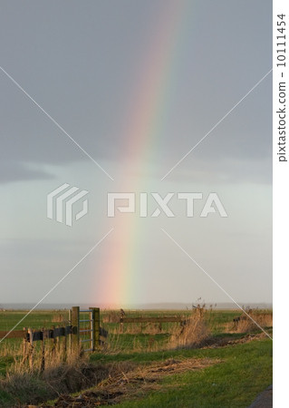 Rainbow in Dutch polder (Eemnes, the Netherlands) 10111454