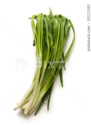 Bunch of leek Bunch of leek 10111563