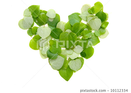 Leaf heart 10112334