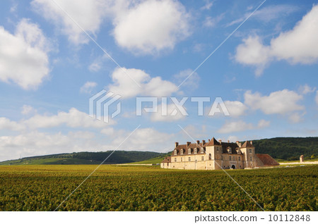 Romane Conti 10112848